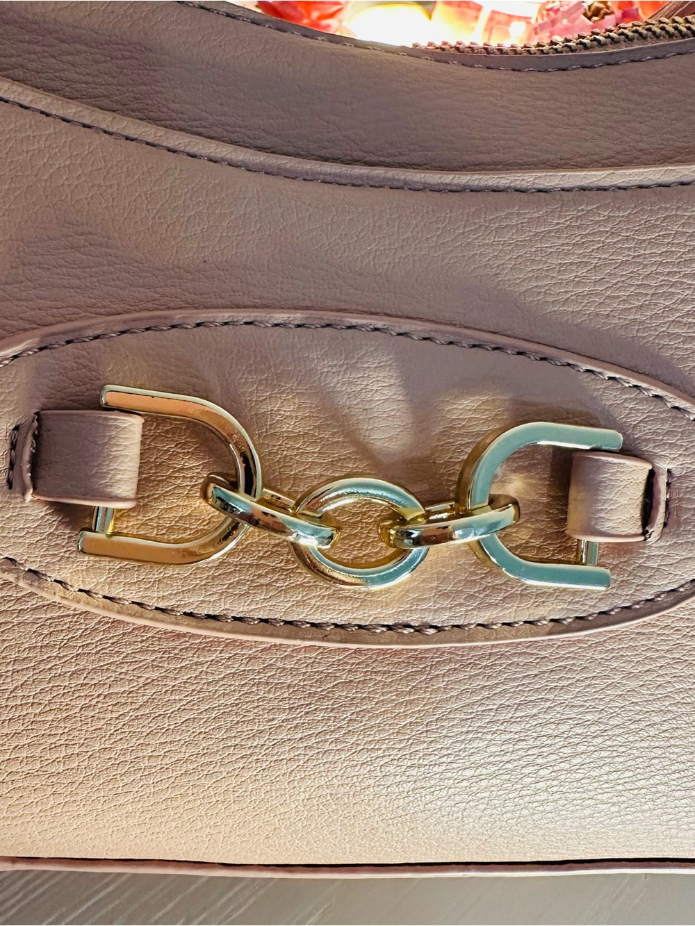 La Terre Blush Pink Pebbled Crossbody Bag with Gold Accent - Picture 8 of 8
